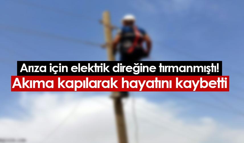 Artvin'de akıma kapılan işçi elektrik direğinden düşerek hayatını kaybetti