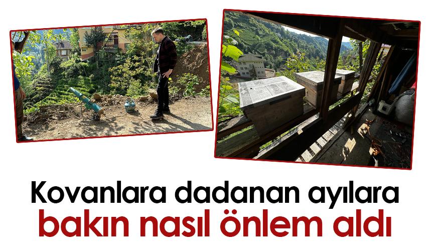 Rize'de kovanlara dadanan ayılara bakın nasıl önlem aldı