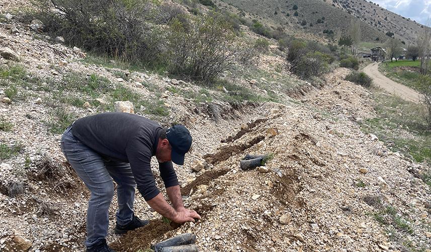 Bayburt'ta fidan dikme şartıyla ceza almaktan kurtuldu