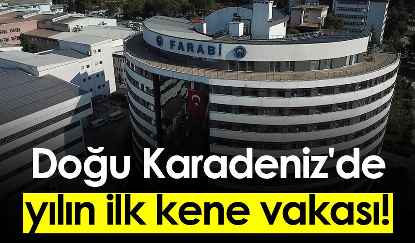 Doğu Karadeniz'de yılın ilk kene vakası!