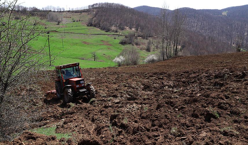 Ordu’da tarım atağı! 4 yılda 26 bin 750 dekar atıl arazi üretime açıldı