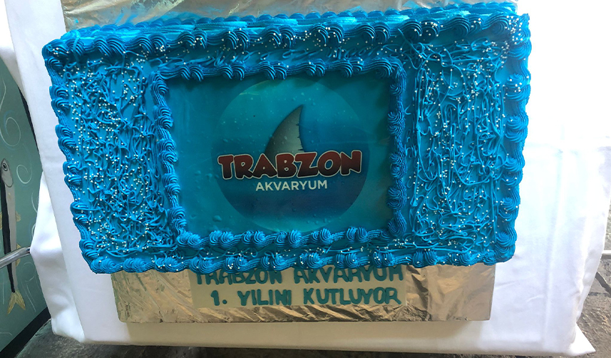 Trabzon Tünel Akvaryum'u kaç kişi ziyaret etti? Başkan Genç açıkladı