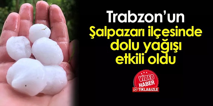Trabzon'un Şalpazarı ilçesinde dolu yağışı etkili oldu
