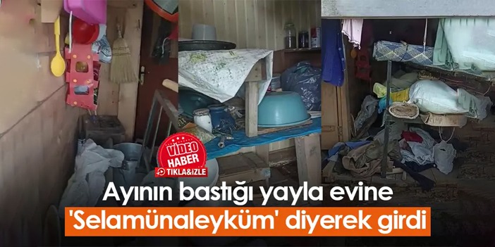 Rize'de ayının bastığı yayla evine 'Selamünaleyküm' diyerek girdi