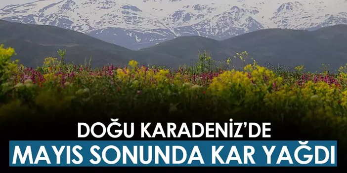 Bayburt'ta Mayıs ayının sonuna doğru kar yağdı!
