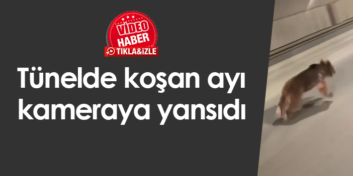 Rize'de tünelde koşan ayı kameraya yansıdı