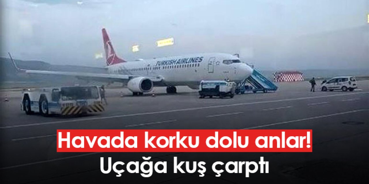 Havada korku dolu anlar! Uçağa kuş çarptı