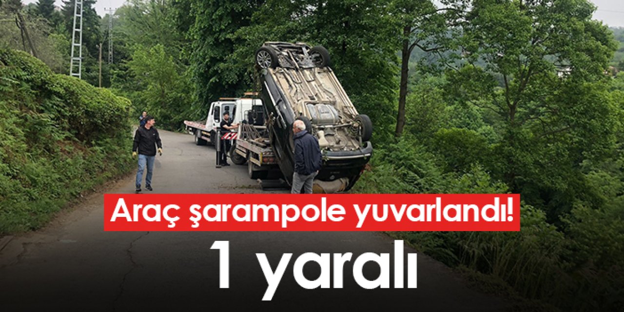 Rize'de araç şarampole yuvarlandı! 1 yaralı
