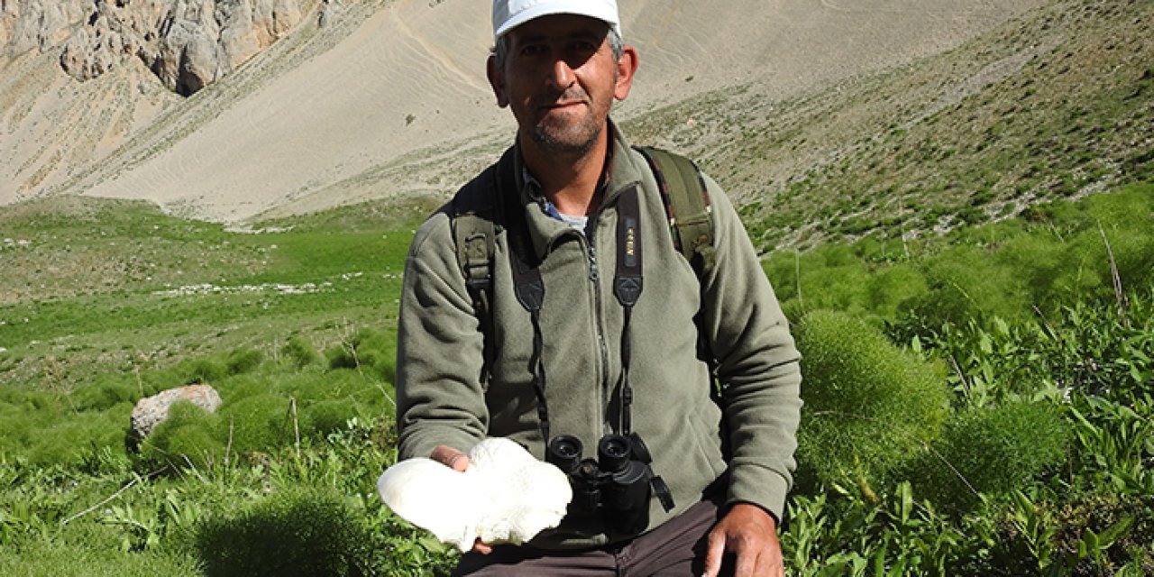 Bayburt'ta mantar seferberliği