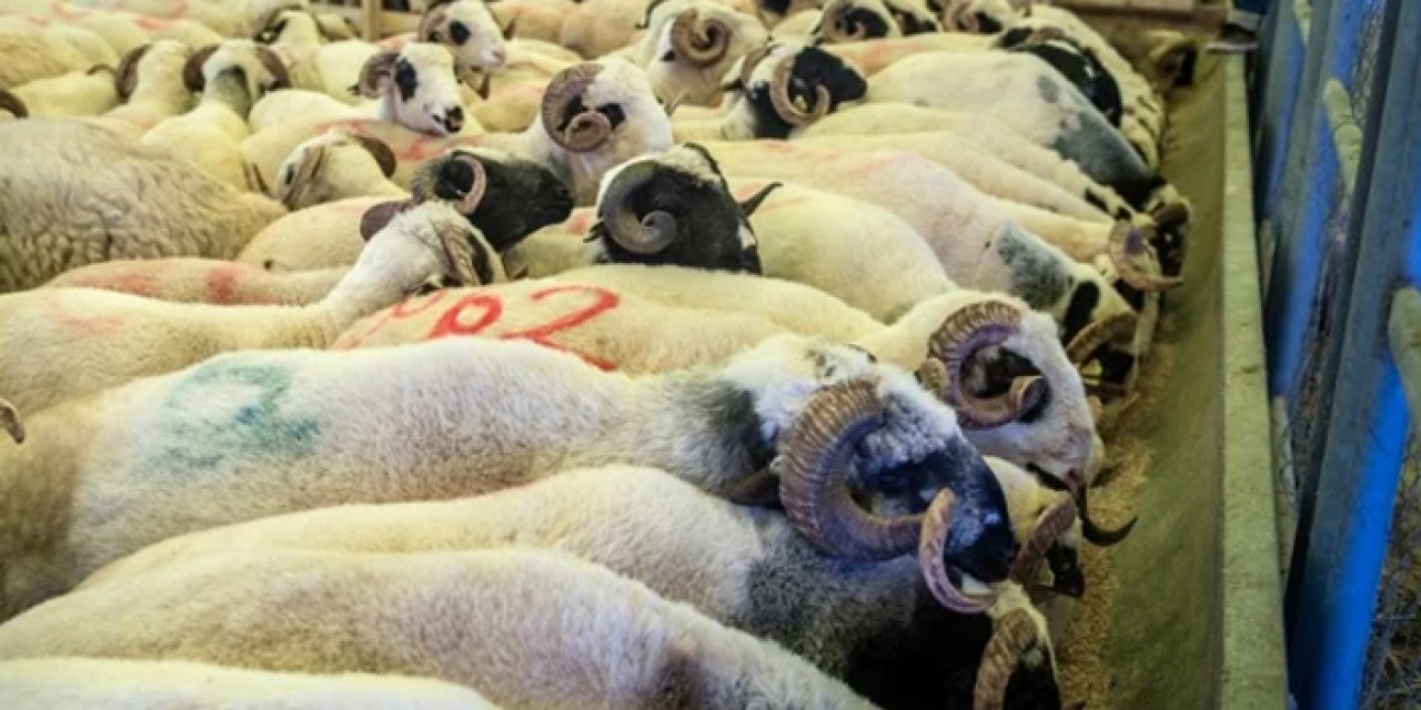 Kurban Bayramı için tarife belli oldu!