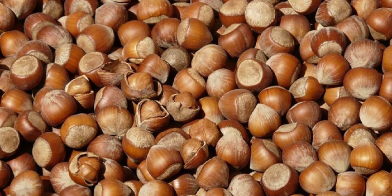Türkiye'de 9 aylık fındık ihracat rakamları belli oldu