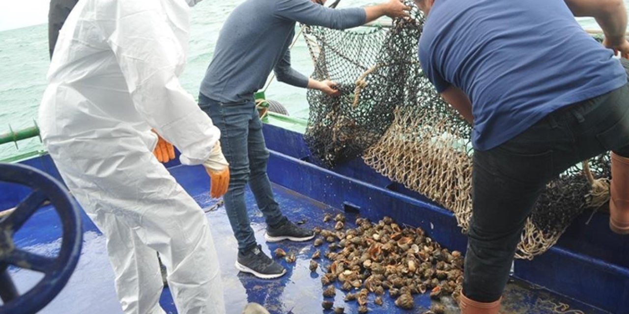 Samsun'dan Hayvansal ürün ihracatı!