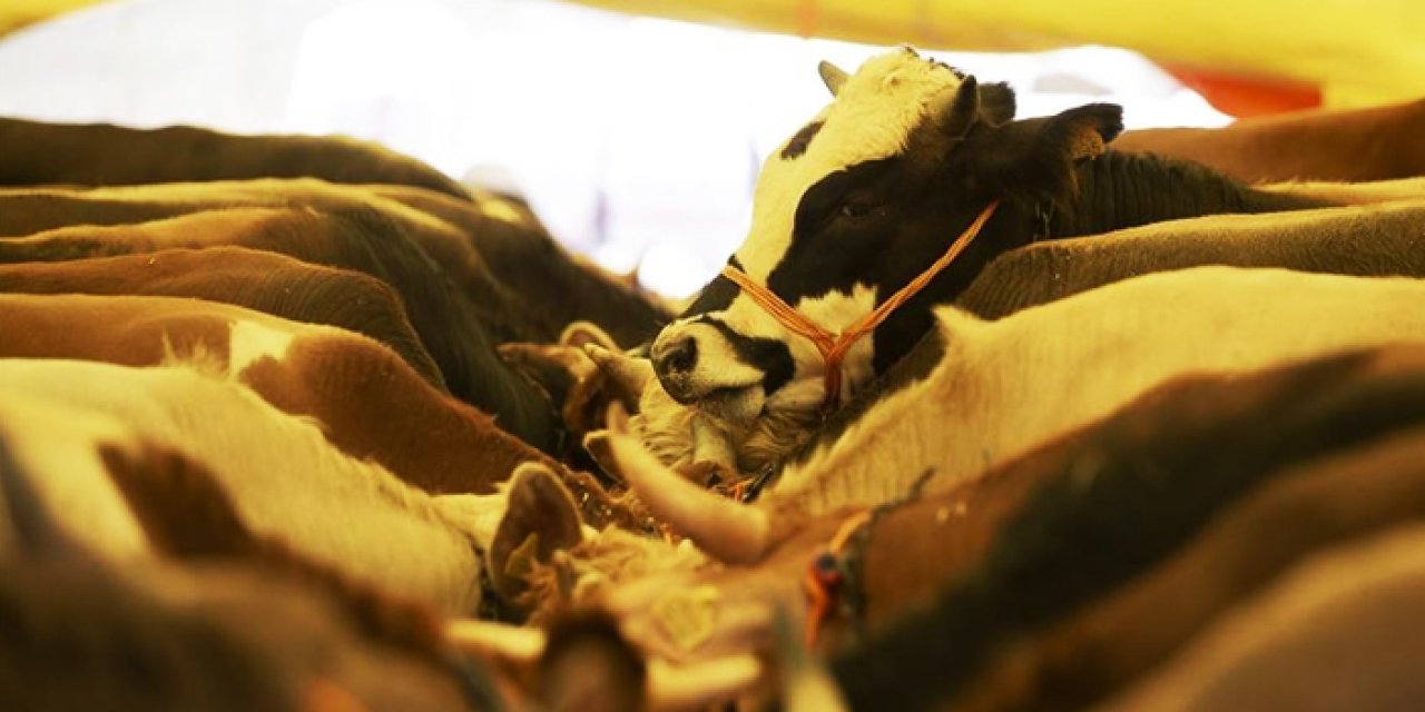 Kurban Bayramı ne zaman? 2023 – Kurban Bayramı tatili kaç gün?