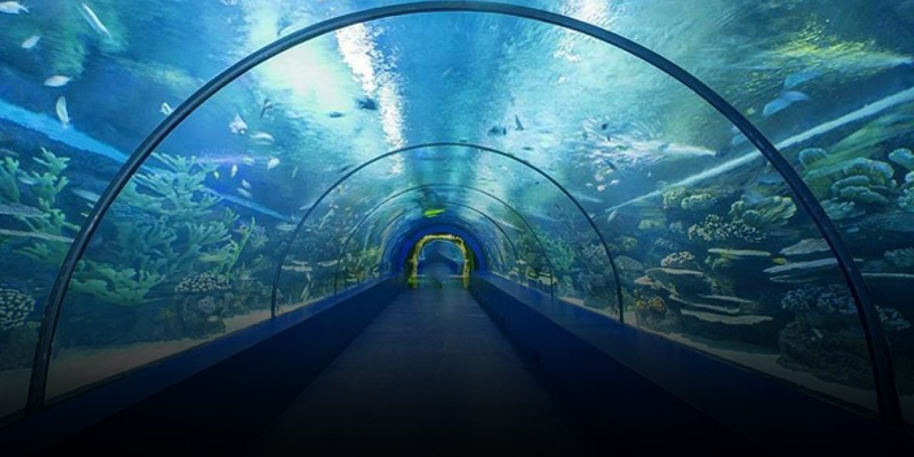Tünel Akvaryum'u kaç kişi ziyaret etti? Hedefin çok üstünde