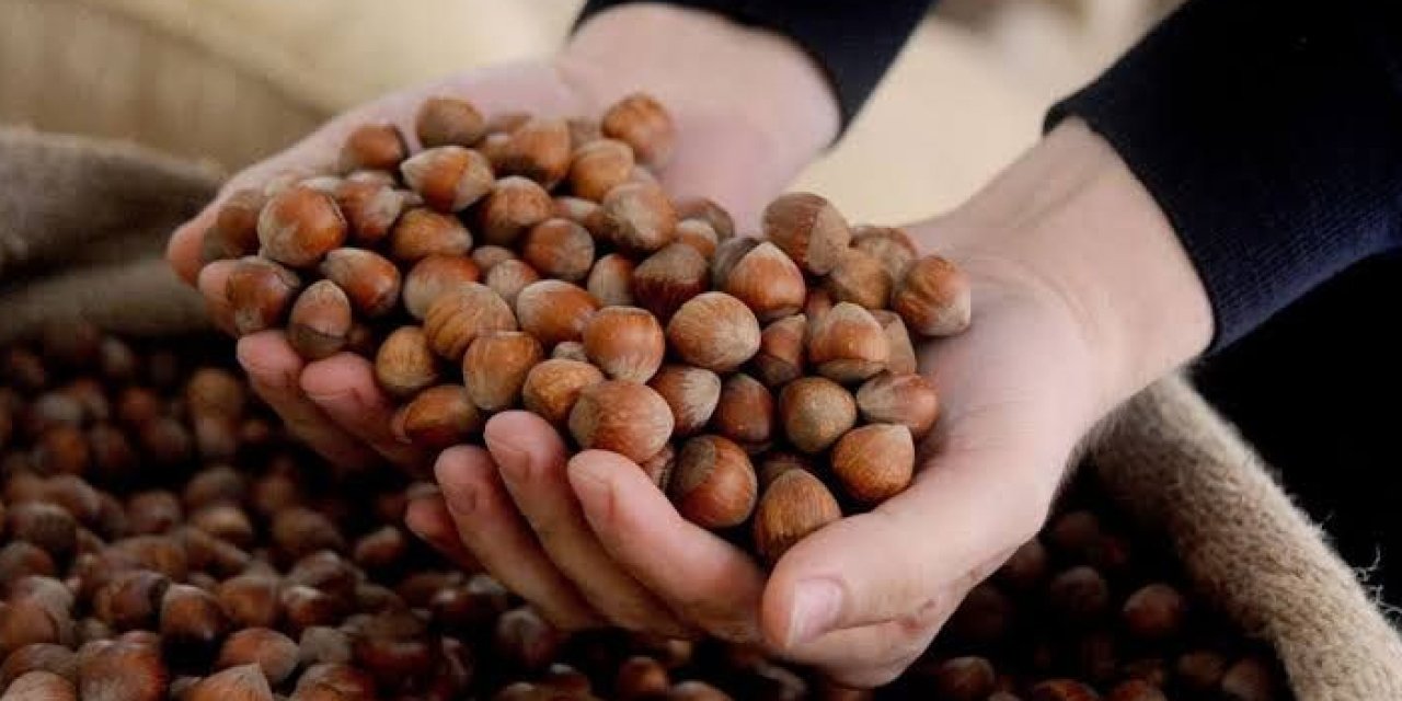 Ticaret borsalarında fındık rekoru! 603 bin ton