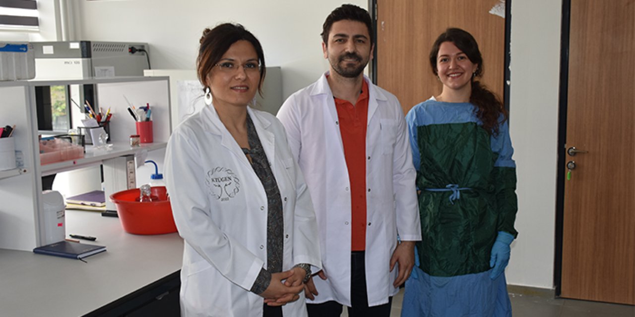 KTÜ'de arı zehrine yönelik TÜBİTAK destekli proje