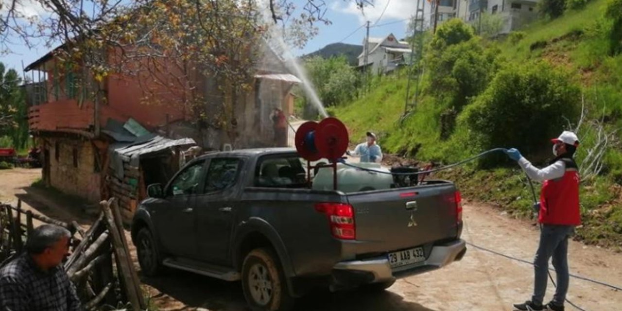 Gümüşhane'de çekirgelerin istila ettiği köyde ilaçlama çalışmaları başlatıldı