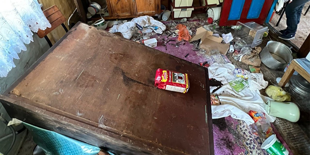 Artvin'de aç kalan ayı eve dadandı