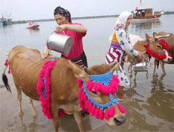 Beşikdüzü festivali sürüyor