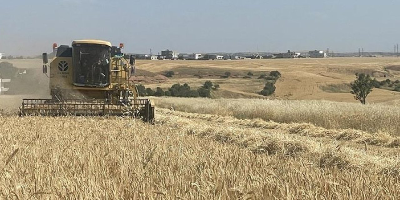 TMO hububat alımı için 530 noktada hazırladı