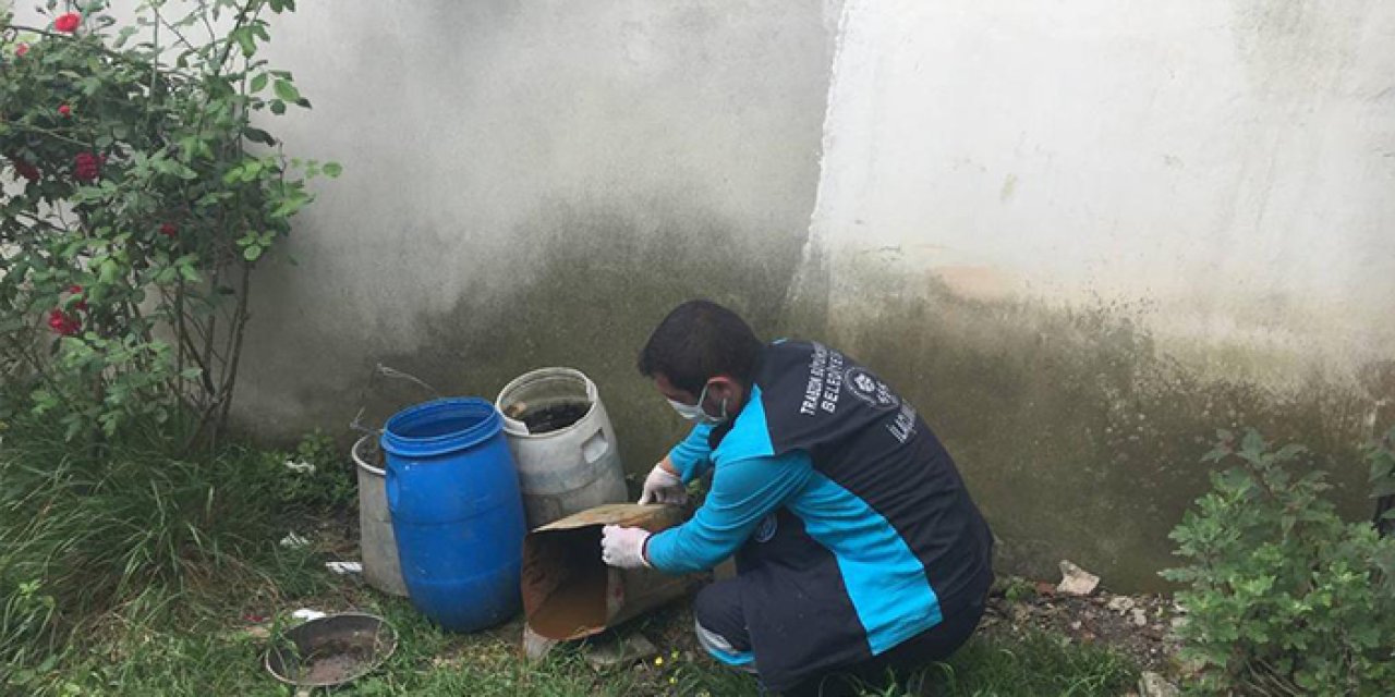 Büyükşehir vektörle mücadelede yaza hazır!