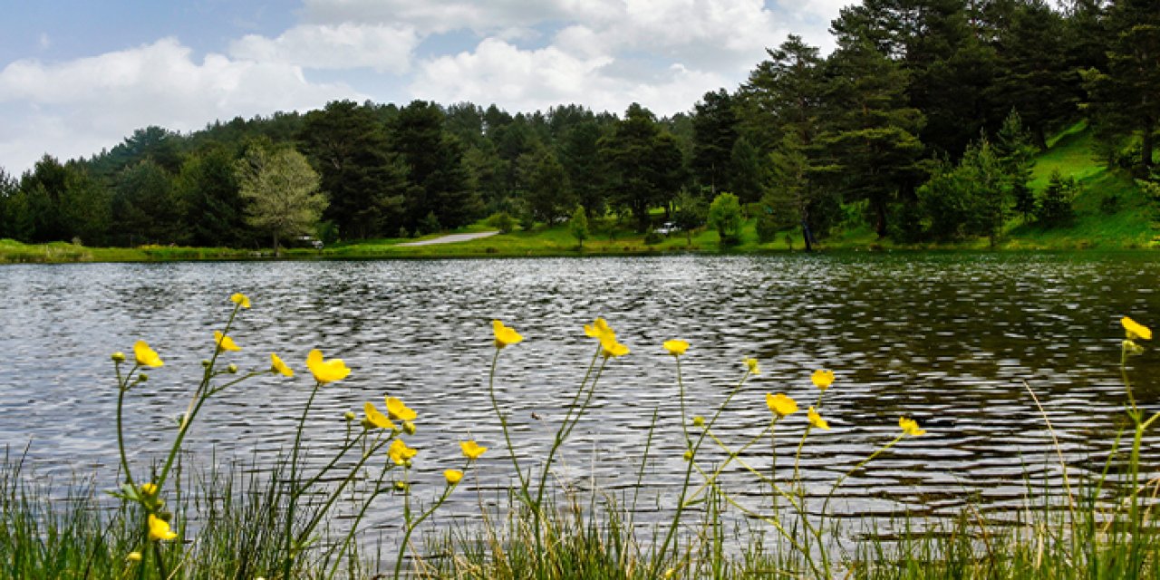Gümüşhane'nin Altınpınar Gölü'ne ziyaretçi akını