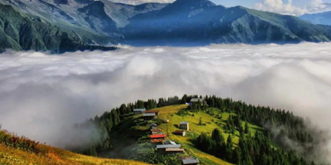 Pokut yaylası nerededir? Pokut yaylasına nasıl gidilir?