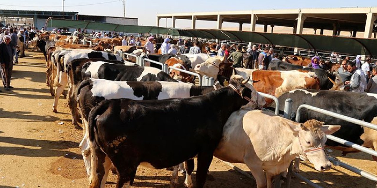 Bayburt'ta kurban kesim yerleri belirlendi