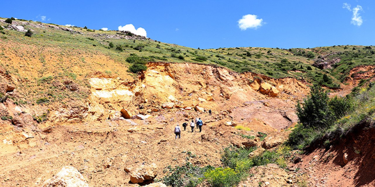 Bayburt'ta çıkarılan kehribar "ekmek kapısı" olacak