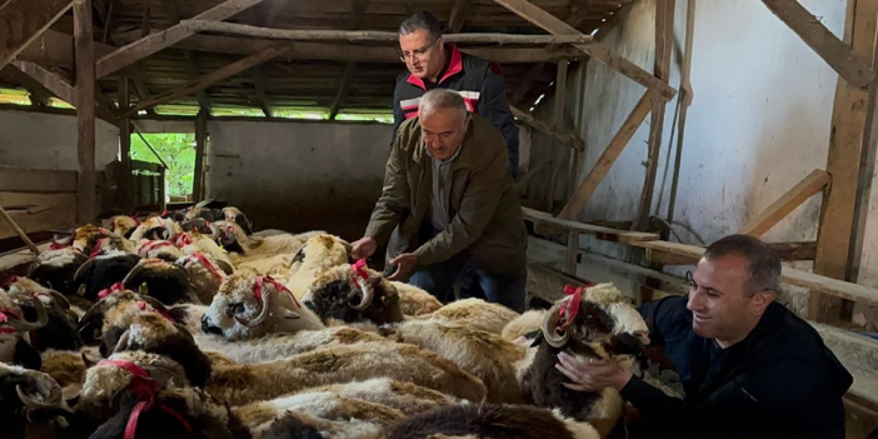 Ordu'da hayırseverler bayramda yetim ve öksüz çocukların yüzünü güldürecek