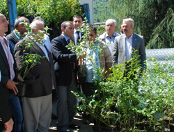 Of'ta çiftçiye "Likarpa" dağıtıldı