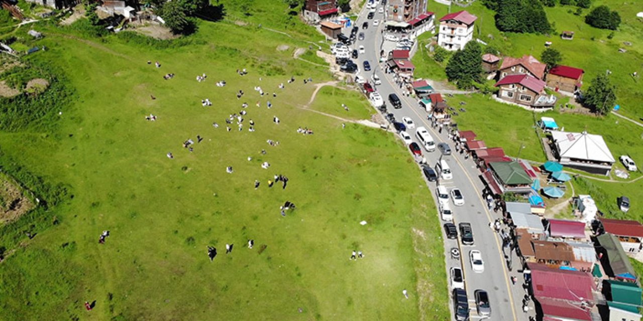 Rize'de Ayder'e 100 bine yakın turist