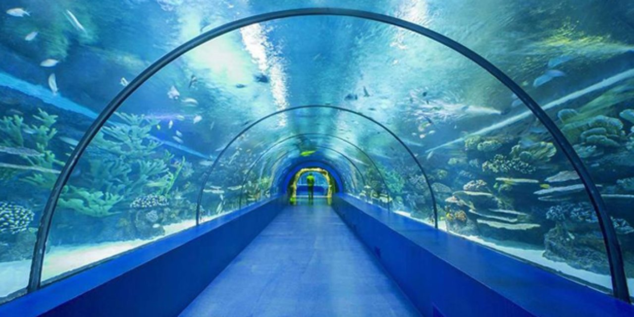 Başkan Genç açıkladı! Trabzon Akvaryum'u kaç kişi ziyaret etti?