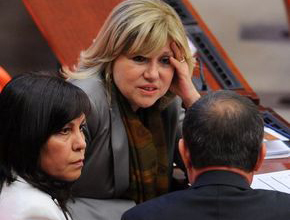 Nesrin Baytok ilk kez Meclis'te