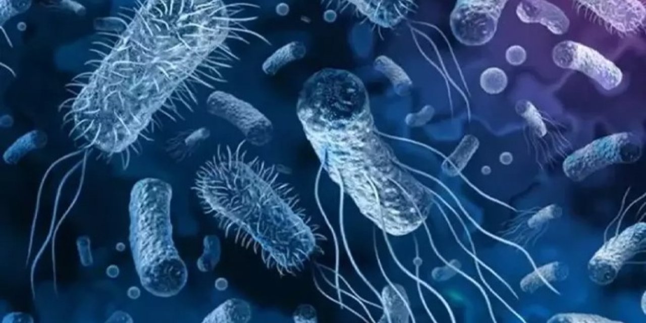 Kolera nedir? Belirtileri nelerdir? Tedavisi nedir?