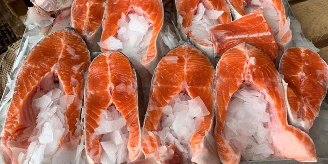 Türk somonu ihracatı katlanarak artıyor
