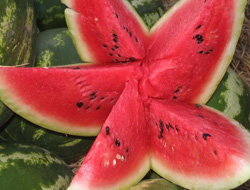 Meğer şifa kaynağıymış