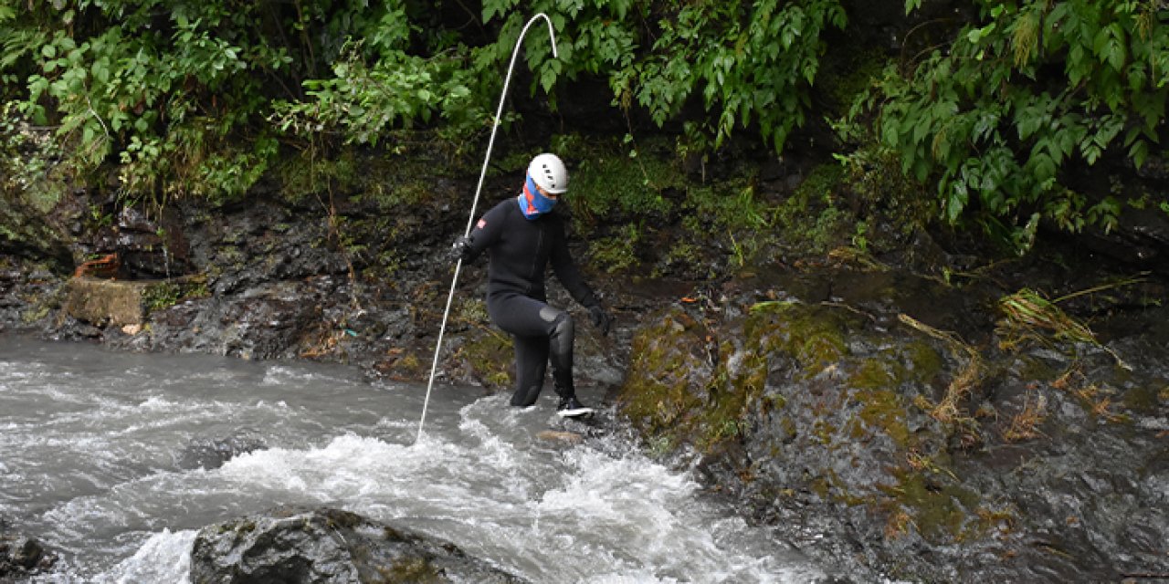 Ordu'da kaybolan kadın için arama çalışmaları devam ediyor!