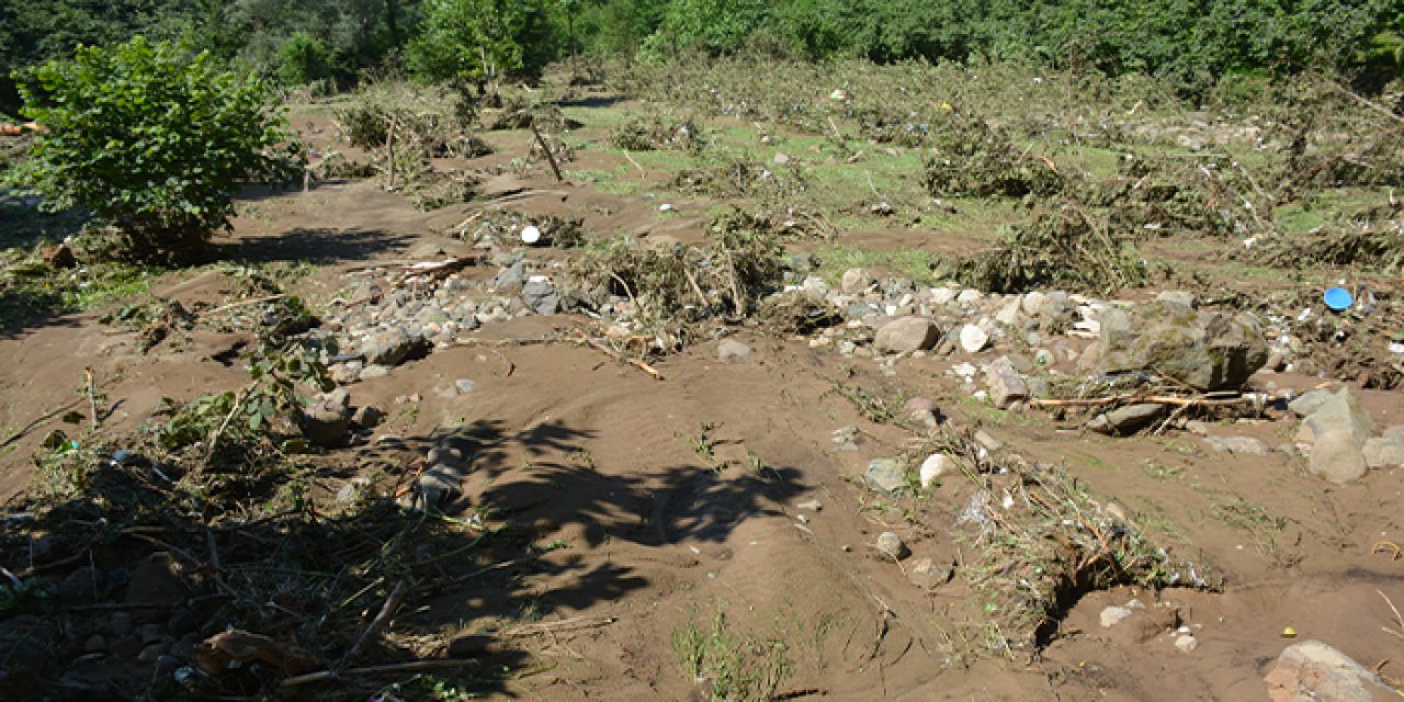 Giresun'da taşan dere fındık ağaçlarına zarar verdi!