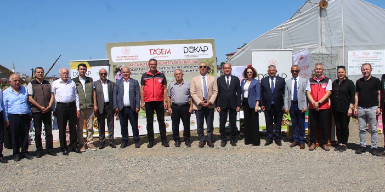 Ordu'da Örtü Altı Yetiştiriciliğinde Bombus Arısı'nın Yaygınlaştırılması Projesi tanıtıldı