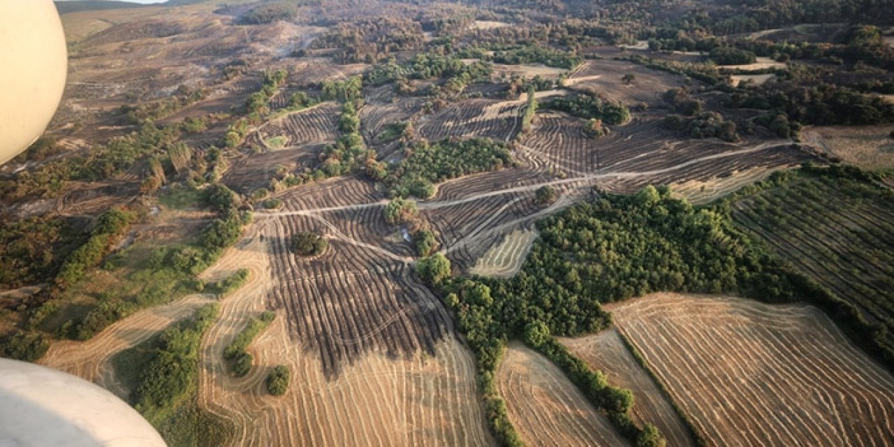 Çanakkale'deki orman yangını kontrol altına alındı. 19 Temmuz 2023