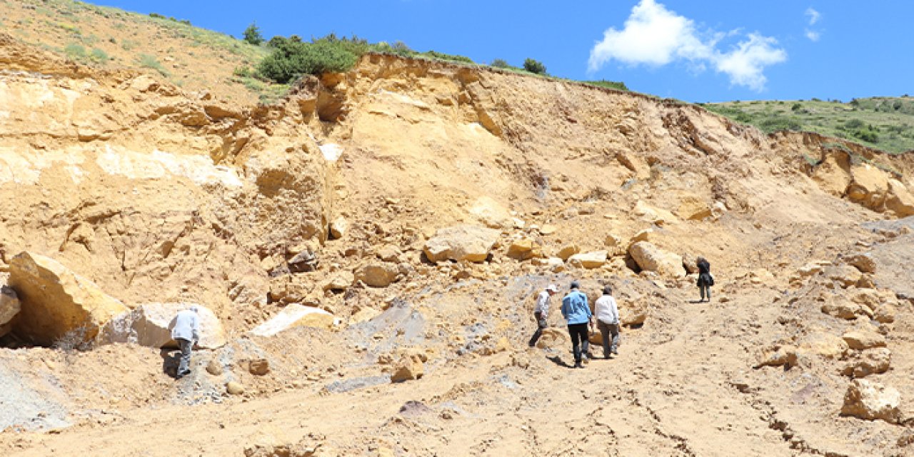 Bilim insanları Bayburt'taki doğal kehribar rezervini inceledi