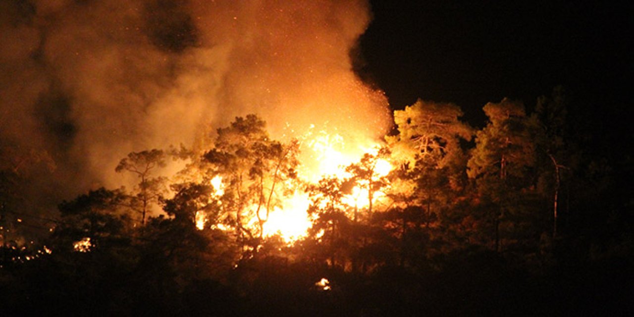 Antalya'nın Kemer ilçesinde orman yangını çıktı. 25 Temmuz 2023