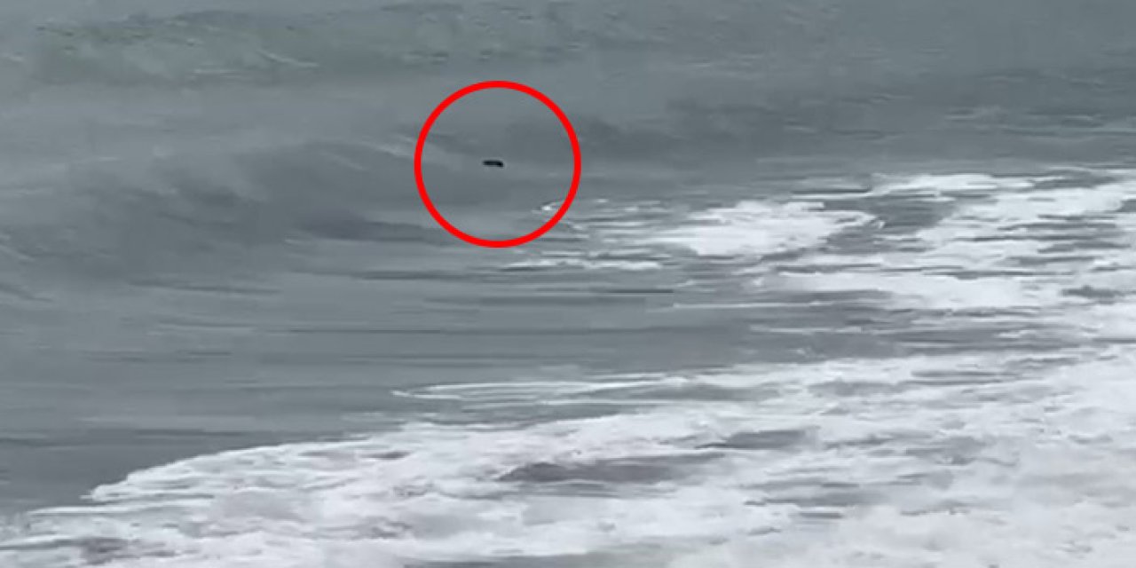 Trabzon'da denizde ceset ihbarı! Gerçek çok başka çıktı
