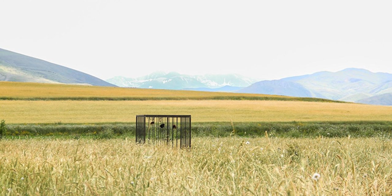 Dünyanın her bir tarafından kadın saçı toplandı! Bayburt'ta sergileniyor