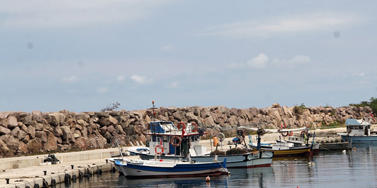 Giresun'da balıkçılar yeni sezonda palamut avından umutsuz