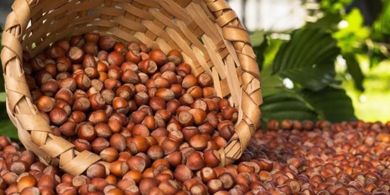 Cumhurbaşkanı Erdoğan açıkladı! İşte fındık alım fiyatları