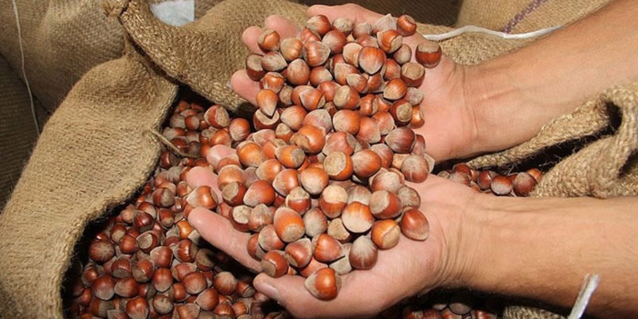 Trabzon milletvekili Yavuz Aydın’dan fındık fiyatı tepkisi! “Bu fiyat üreticiye zulümdür”