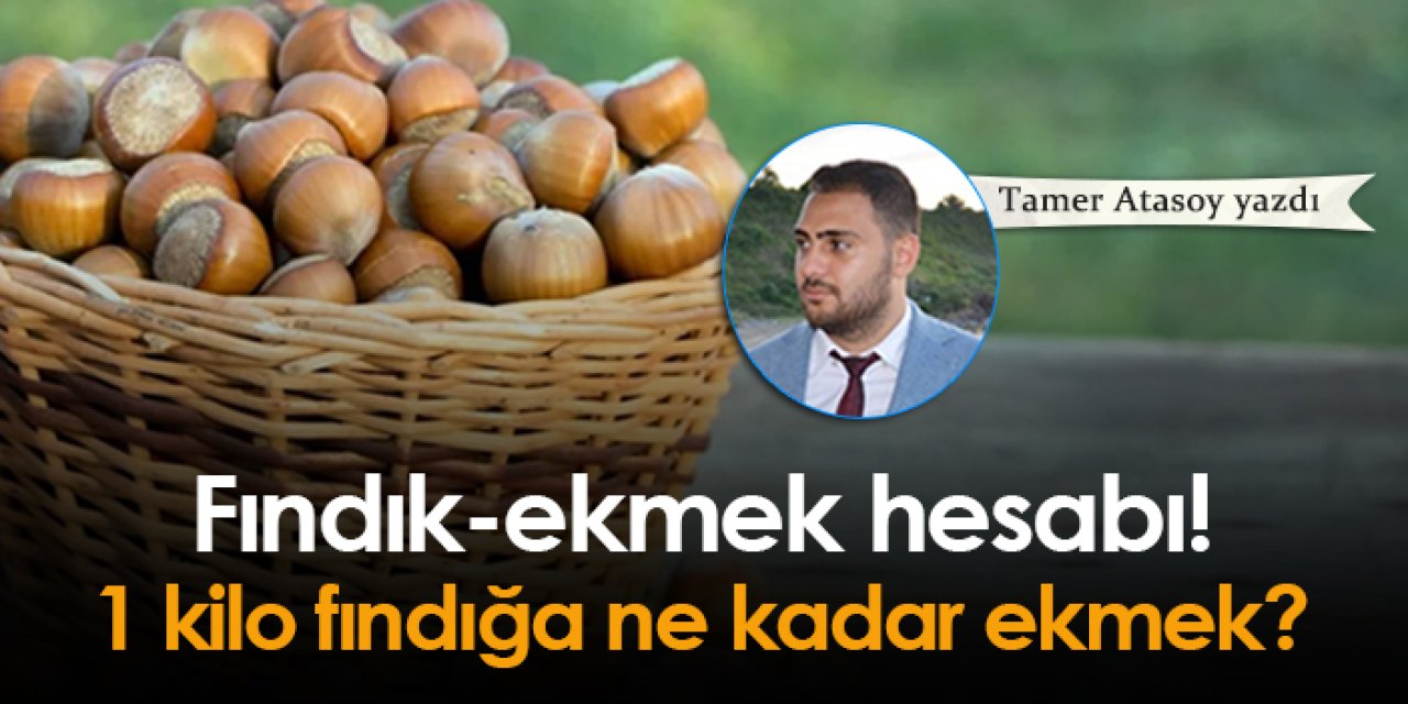 Fındık-ekmek hesabı! 1 kilo fındığa ne kadar ekmek?