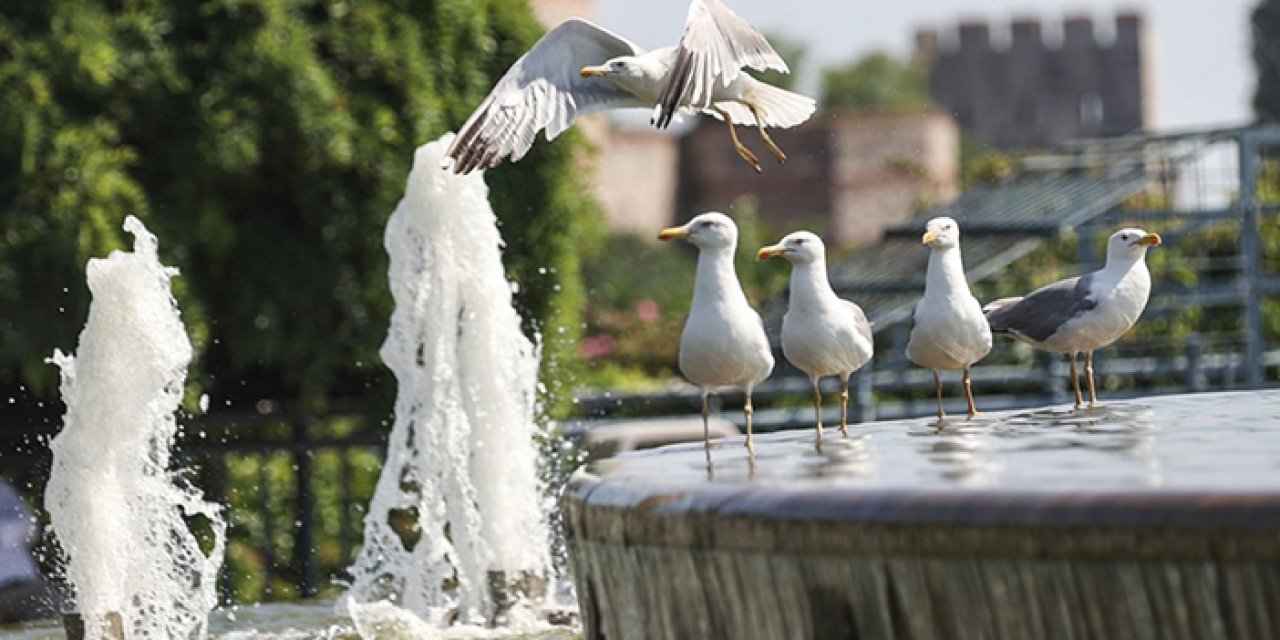 Meteoroloji profesöründen 'Eyyam-ı Bahur' tepkisi